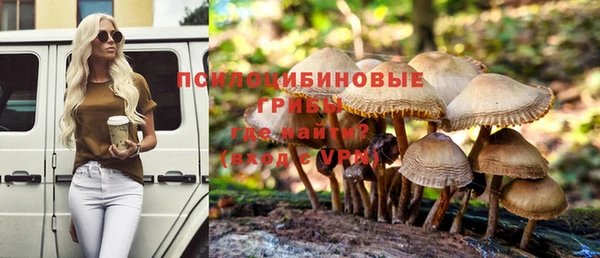 ешки Каменск-Шахтинский