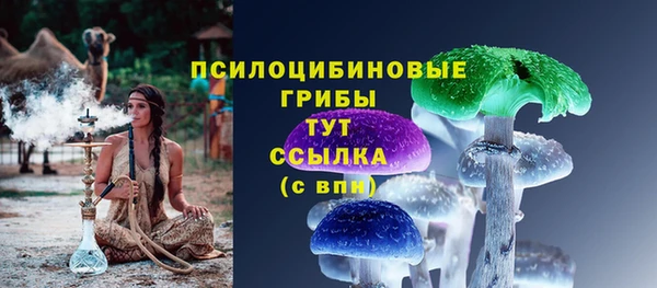 ешки Каменка