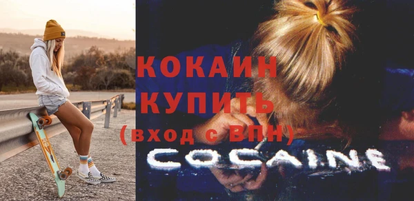 соль ск Каменногорск