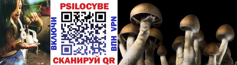 Галлюциногенные грибы MAGIC MUSHROOMS  Купить где  Западная Двина 